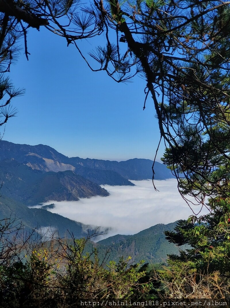 登山 親子登山 平多緃走 野營 戶外活動