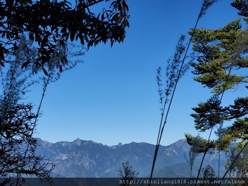 登山 親子登山 平多緃走 野營 戶外活動