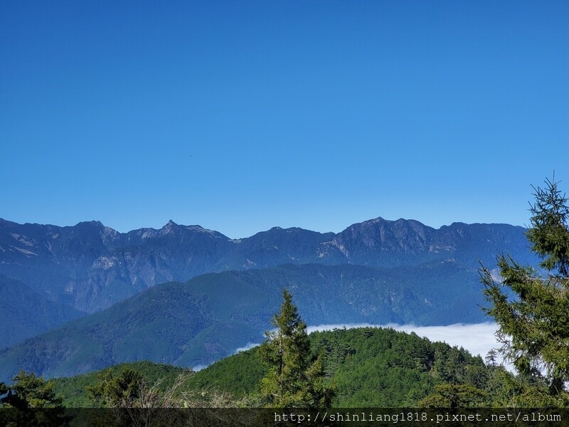 登山 親子登山 平多緃走 野營 戶外活動