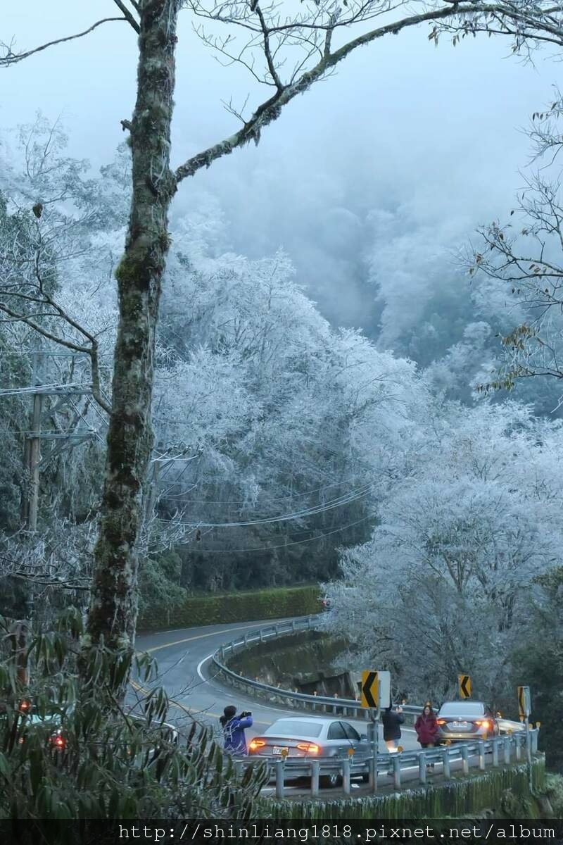 親子登山 登山 平多緃走 霧淞 元旦假期