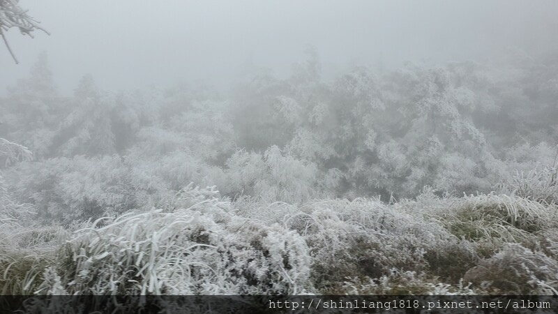 親子登山 登山 平多緃走 霧淞 元旦假期