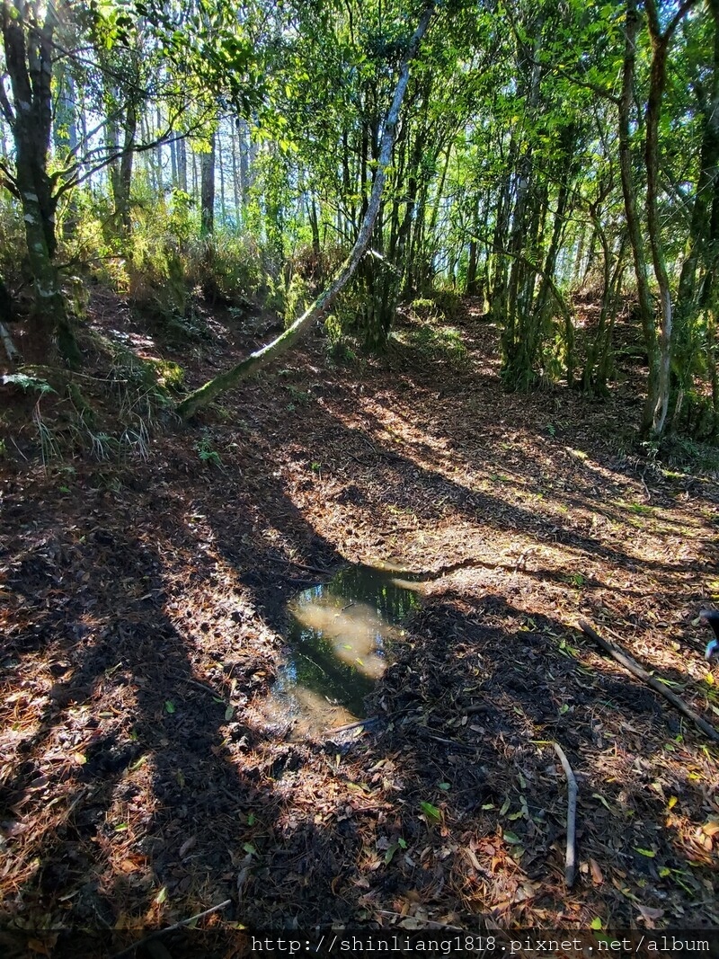 親子登山 登山 平多緃走 霧淞 元旦假期