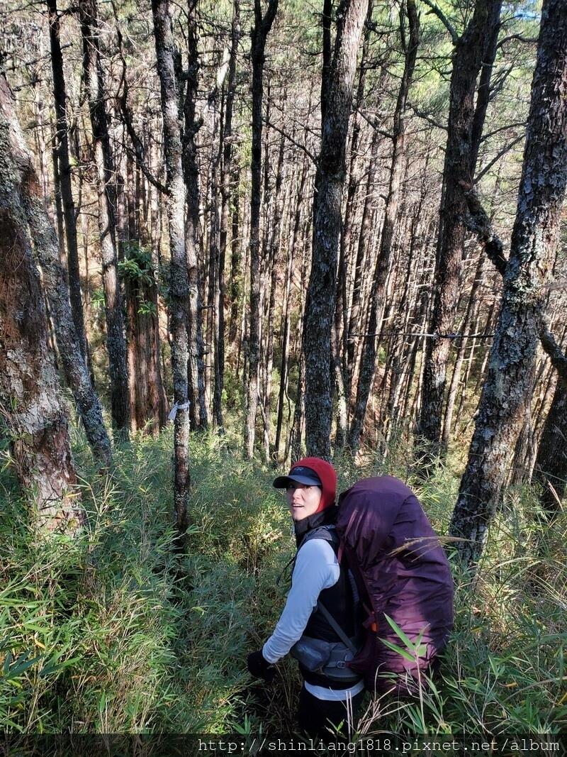 親子登山 登山 平多緃走 霧淞 元旦假期