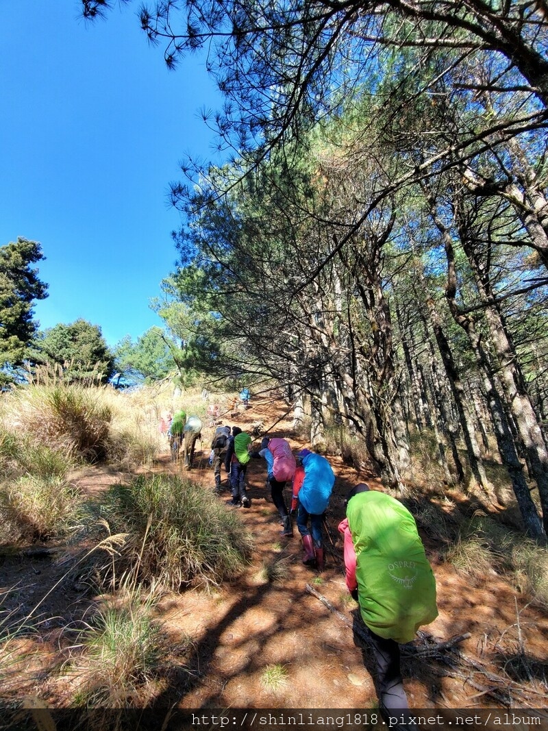 親子登山 登山 平多緃走 霧淞 元旦假期