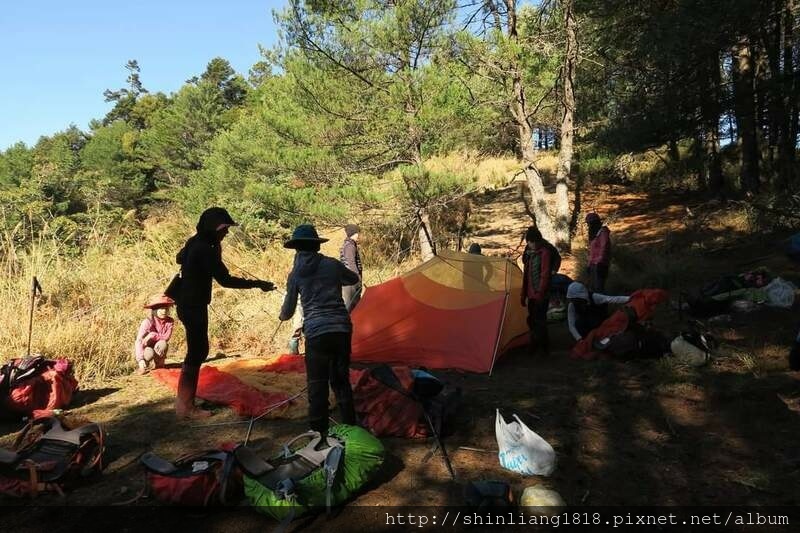 親子登山 登山 平多緃走 霧淞 元旦假期