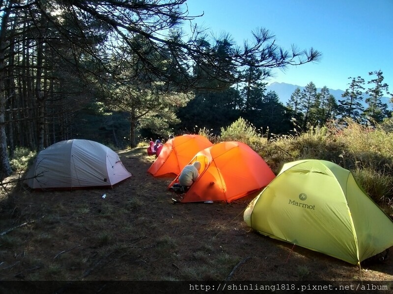 親子登山 登山 平多緃走 霧淞 元旦假期