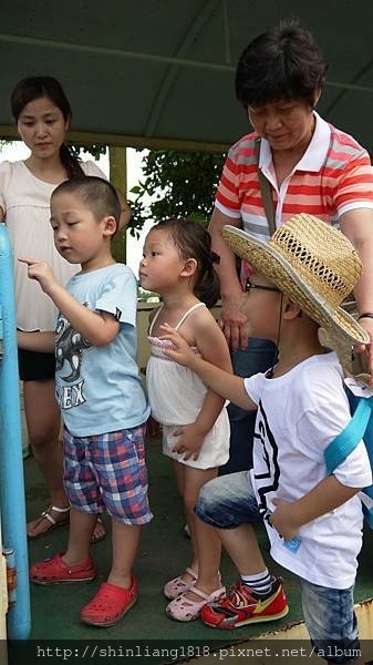 溪湖糖廠 北門社區旅遊 冰淇淋 蒸氣小火車