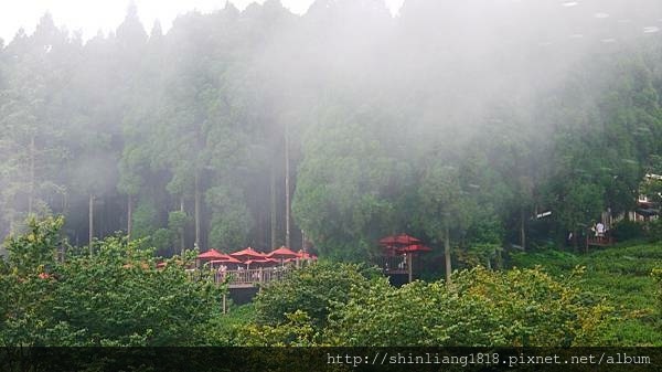 阿貴營地 山上人家 露營生活 第一露 kovea