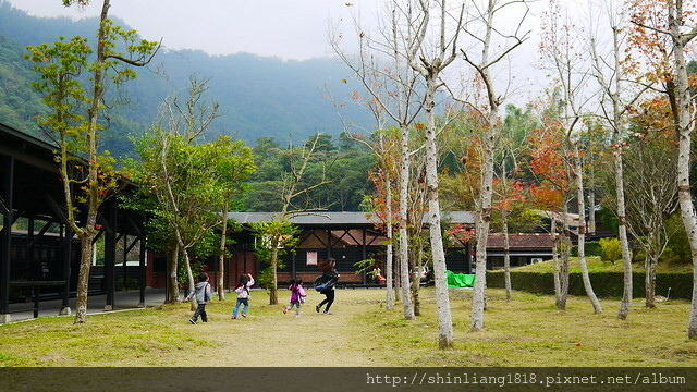 林班道 車埕車站 松園 南投 埔里