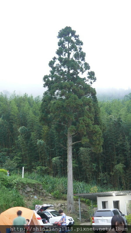 新竹五峰 樂哈山露營區 曾奶奶 營地導覽 風格露營用品