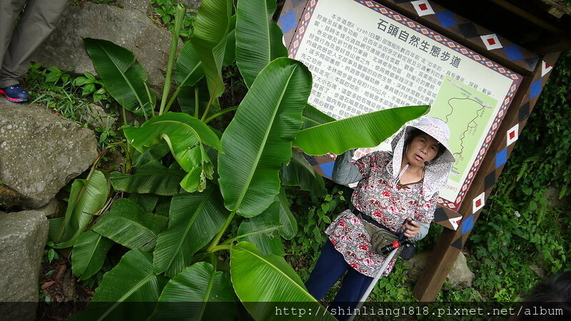 新竹五峰 樂哈山露營區 曾奶奶 營地導覽 風格露營用品