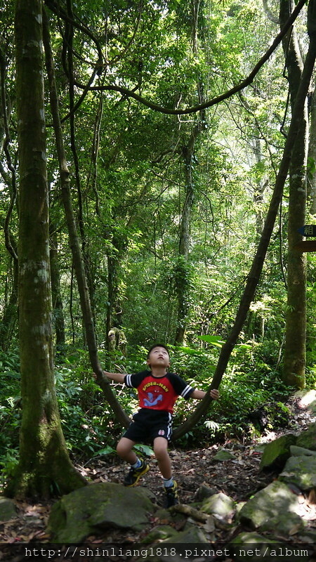 新竹五峰 樂哈山露營區 曾奶奶 營地導覽 風格露營用品