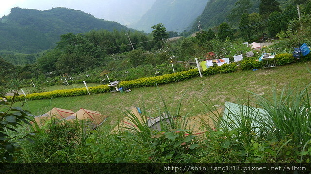 新竹五峰 樂哈山露營區 曾奶奶 營地導覽 風格露營用品