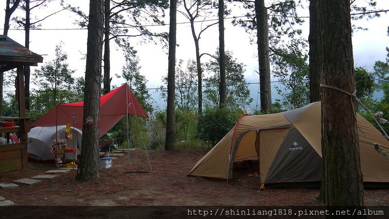 松濤意境露營區 親子露營 風格露營用品 苗栗南庄 松樹林