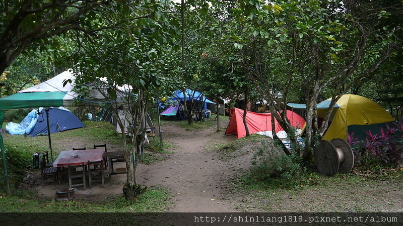 松濤意境露營區 親子露營 風格露營用品 苗栗南庄 松樹林