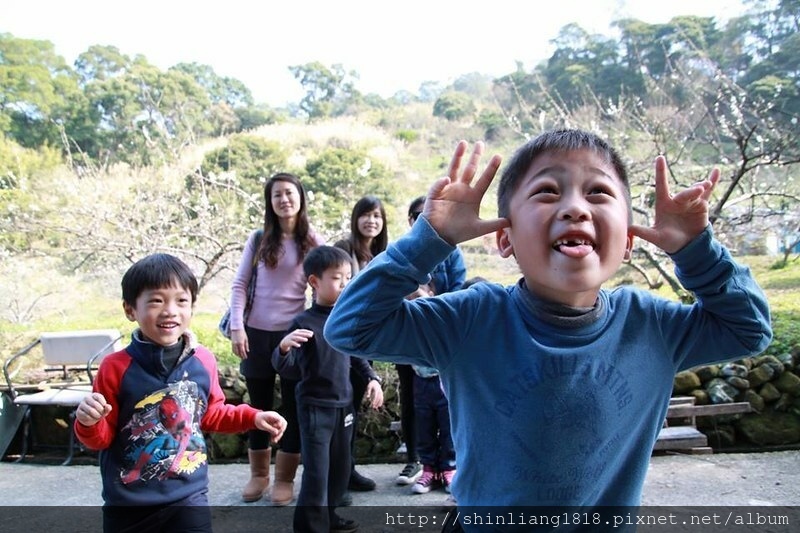 半月彎露營區 苗栗三義 風格露營 韓國露營用品 親子露營