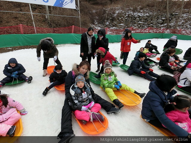 Daemyung Resort Vivaldi Park 滑雪 雪撬 韓國首爾 BEARSTOWN