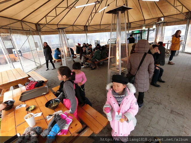 Daemyung Resort Vivaldi Park 滑雪 雪撬 韓國首爾 BEARSTOWN