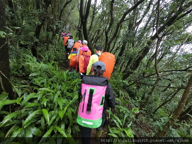 荷蘭古道 親子登山 台北 蛋花兄妹