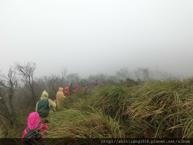 荷蘭古道 親子登山 台北 蛋花兄妹