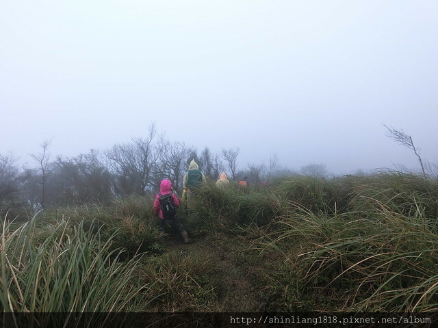 荷蘭古道 親子登山 台北 蛋花兄妹