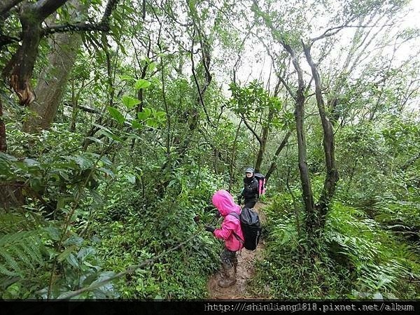 荷蘭古道 親子登山 台北 蛋花兄妹