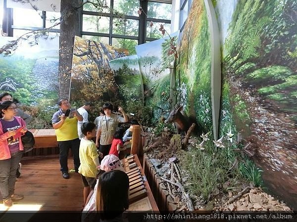 宜蘭 員山生態教育館 生態導覽 林業導覽 親子旅遊