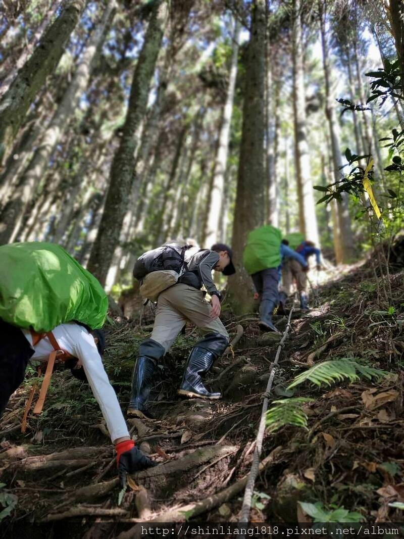 五峰天際線 鵝鳥緃走 親子登山 新竹五峰 白蘭部萿