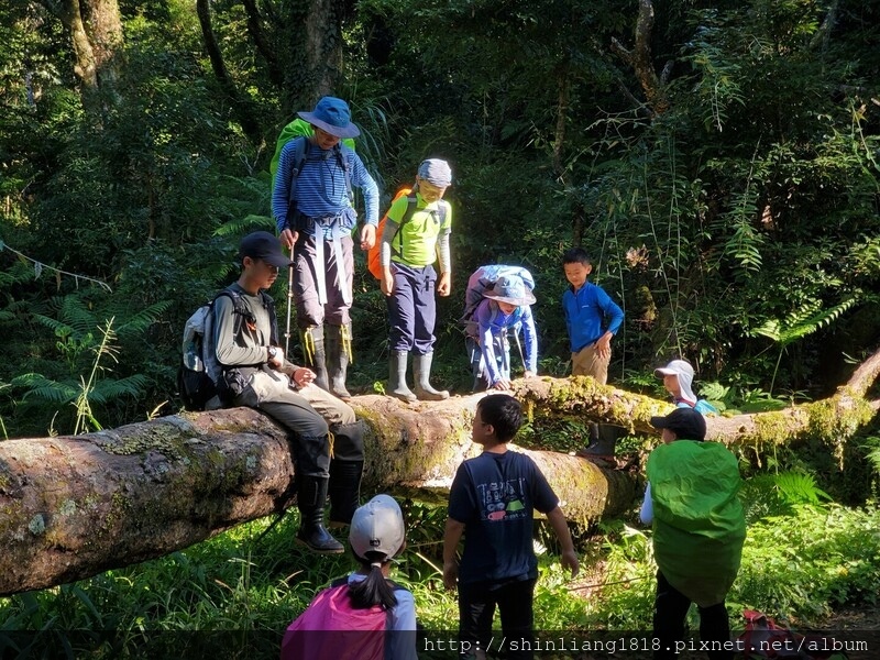 五峰天際線 鵝鳥緃走 親子登山 新竹五峰 白蘭部萿