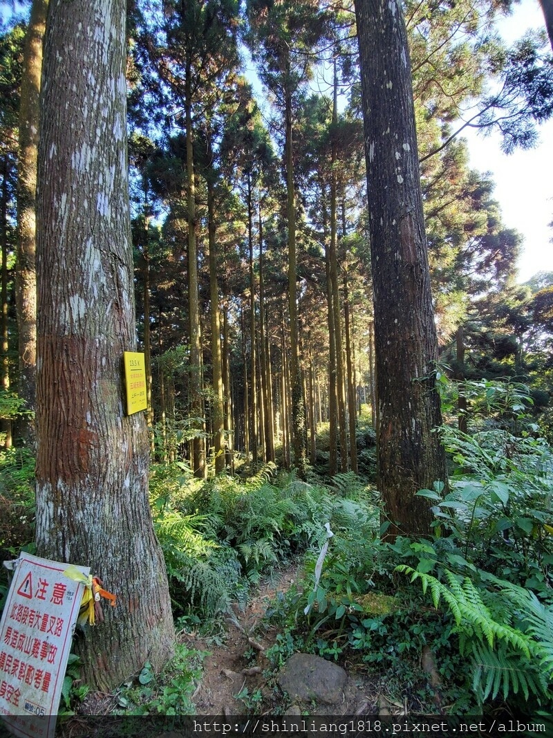 五峰天際線 鵝鳥緃走 親子登山 新竹五峰 白蘭部萿