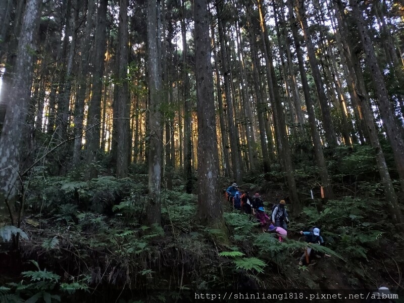 五峰天際線 鵝鳥緃走 親子登山 新竹五峰 白蘭部萿