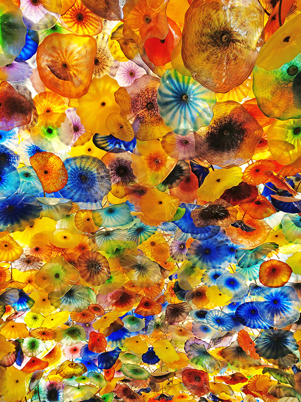 美國自駕旅行13 拉斯維加斯的太陽劇團與百樂宮水舞