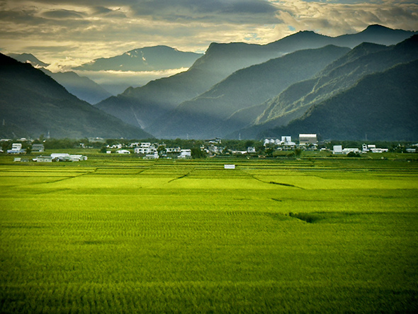 2025池上大地餐桌「仲夏情食」