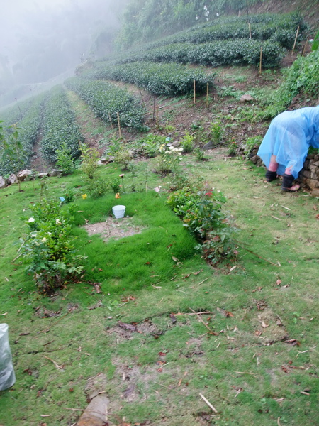 DSCF1056.jpg