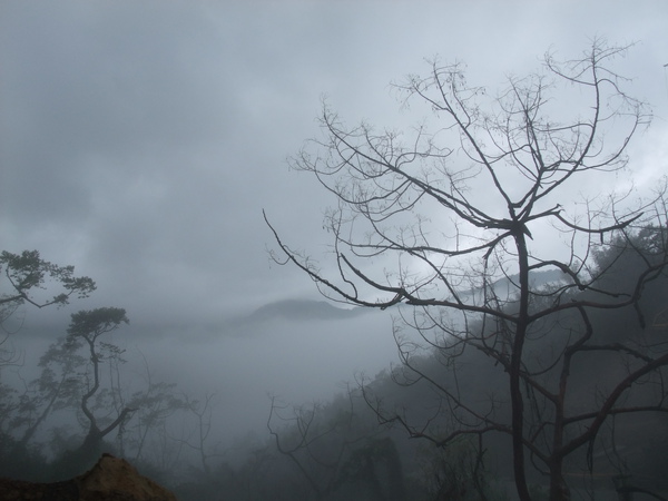 DSCF1057.JPG