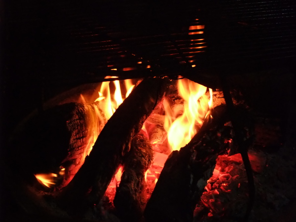 DSCF1083.JPG