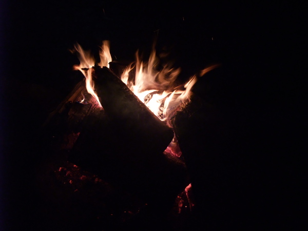 DSCF1125.JPG