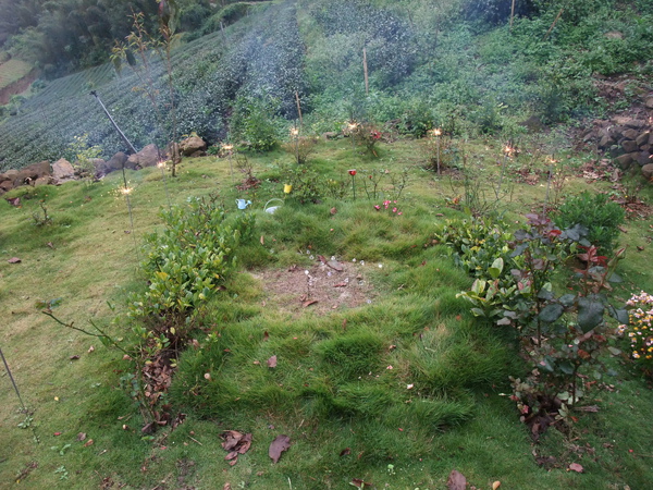 DSCF1139.JPG