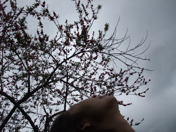 DSCF1142.jpg