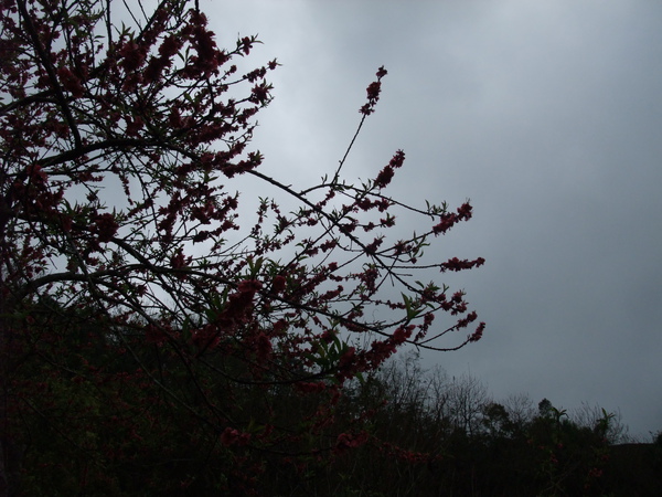 DSCF1148.JPG