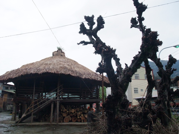 DSCF1176.JPG