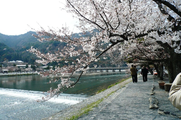 京都-嵐山渡月橋