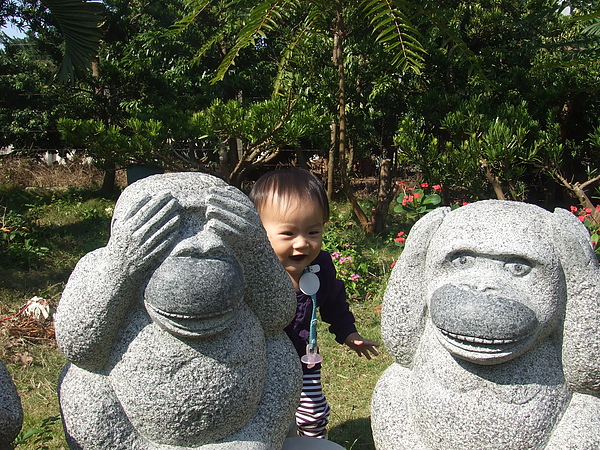 妮可花園36