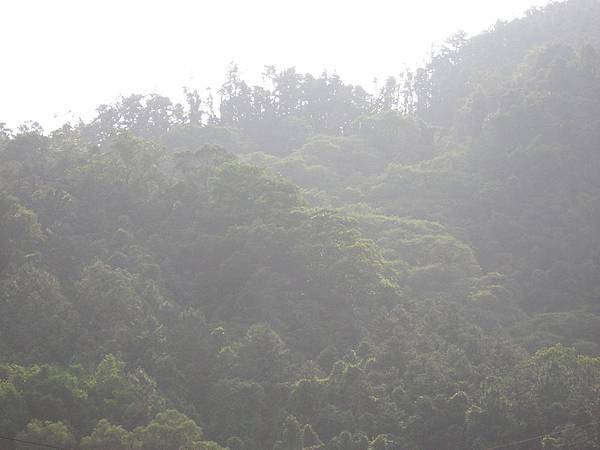 對面的山景