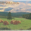 U.S.A._Virginia