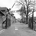 Auschwitz-Birkenau/奧斯威辛集中營