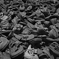 Auschwitz-Birkenau/奧斯威辛集中營