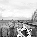 Auschwitz-Birkenau/奧斯威辛集中營