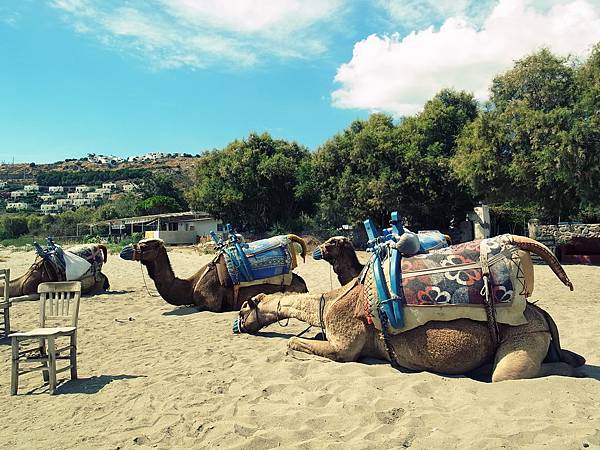博德魯姆Bodrum-駱駝沙灘(Camel Beach)