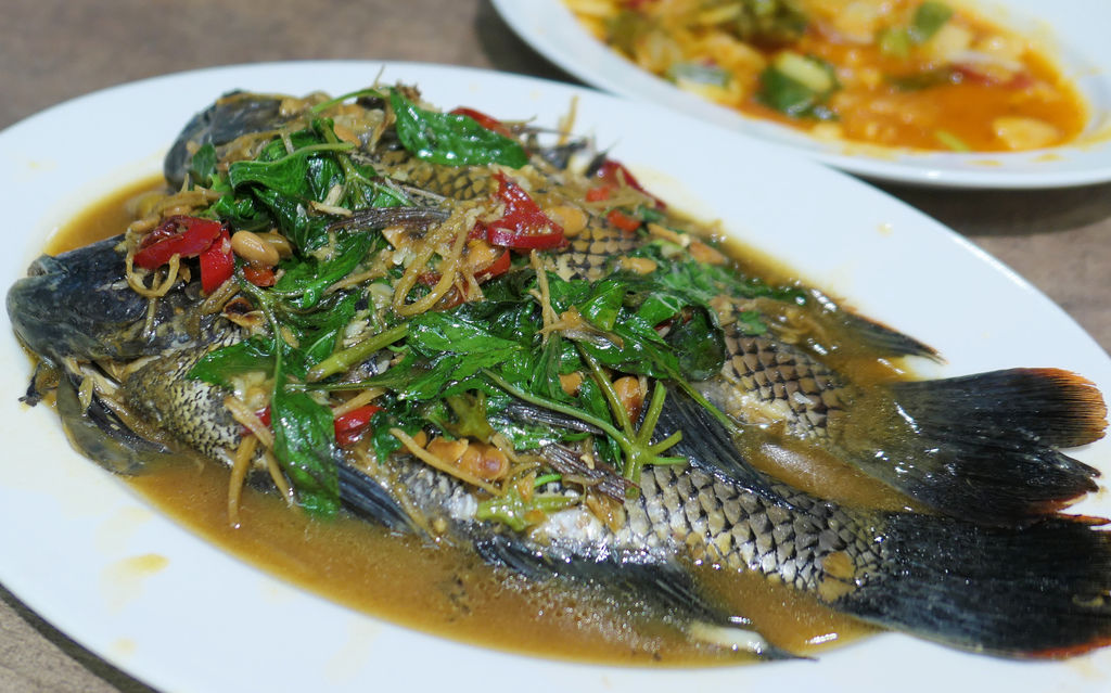 基隆七堵—芳鄰熱炒海鮮店｜道道無雷 海鮮尚青的社區熱炒（20